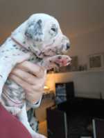 WhatsApp-Image-2024-10-15-at-20.53.27-1