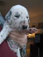 WhatsApp-Image-2024-10-15-at-20.53.27