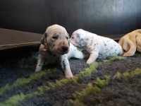 WhatsApp-Image-2024-10-15-at-20.53.56-1