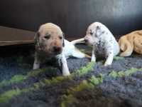 WhatsApp-Image-2024-10-15-at-20.53.56