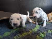 WhatsApp-Image-2024-10-15-at-20.53.57-1