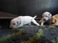 WhatsApp-Image-2024-10-15-at-20.53.57-3