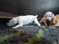 WhatsApp-Image-2024-10-15-at-20.53.57-4