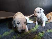 WhatsApp-Image-2024-10-15-at-20.53.57