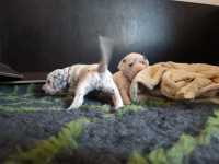 WhatsApp-Image-2024-10-15-at-20.53.58