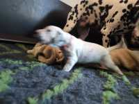 WhatsApp-Image-2024-10-15-at-20.54.47-1