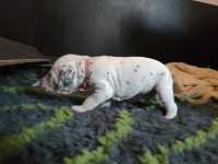 WhatsApp-Image-2024-10-15-at-20.54.47-2