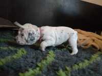 WhatsApp-Image-2024-10-15-at-20.54.47-3