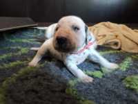 WhatsApp-Image-2024-10-15-at-20.54.48-5