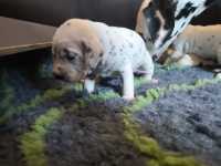 WhatsApp-Image-2024-10-15-at-20.55.12-3