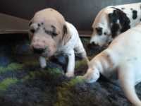 WhatsApp-Image-2024-10-15-at-20.55.12-5