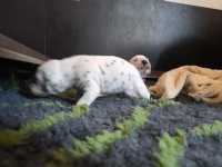 WhatsApp-Image-2024-10-15-at-20.55.13-2