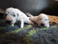 WhatsApp-Image-2024-10-15-at-20.55.13-4