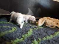 WhatsApp-Image-2024-10-15-at-20.55.13-6