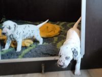 IMG_20241021_134948