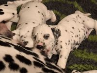 IMG_20241021_204633