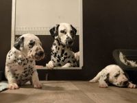 IMG_20241021_211049