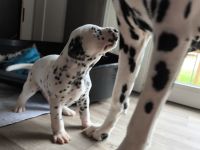 IMG_20241022_105924