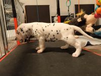 IMG_20241022_224348