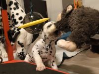 IMG_20241022_224423