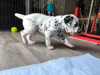 IMG_20241025_145522_1