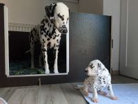 IMG_20241025_145600