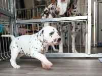 IMG_20241025_145713