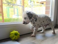 IMG_20241025_145729