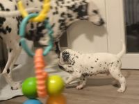 IMG_20241025_201626