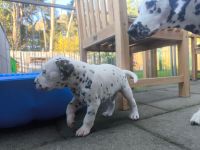 IMG_20241026_161046