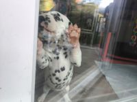 IMG_20241026_161145
