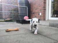 IMG_20241026_161408