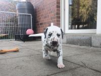 IMG_20241026_161408_1