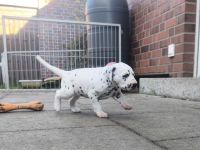 IMG_20241026_161646_1