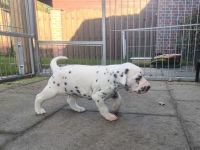 IMG_20241026_161756_1