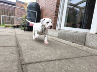 IMG_20241029_095449_1