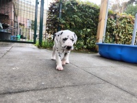 IMG_20241029_100232_1