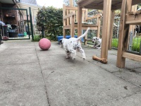 IMG_20241101_110715_1