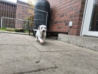 IMG_20241101_110821_1