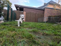 IMG_20241102_152707_1