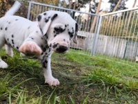 IMG_20241102_152741_1