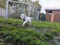 IMG_20241102_153041_2