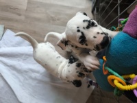 IMG_20241108_105137_1