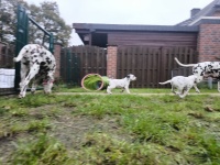 IMG_20241109_145648_1