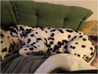 IMG_20241112_004520