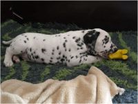 IMG_20241112_121831