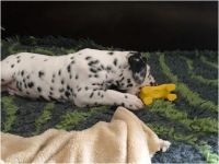 IMG_20241112_121834