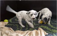 IMG_20241112_121857
