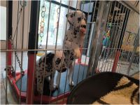 IMG_20241113_113705