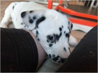 IMG_20241117_140326